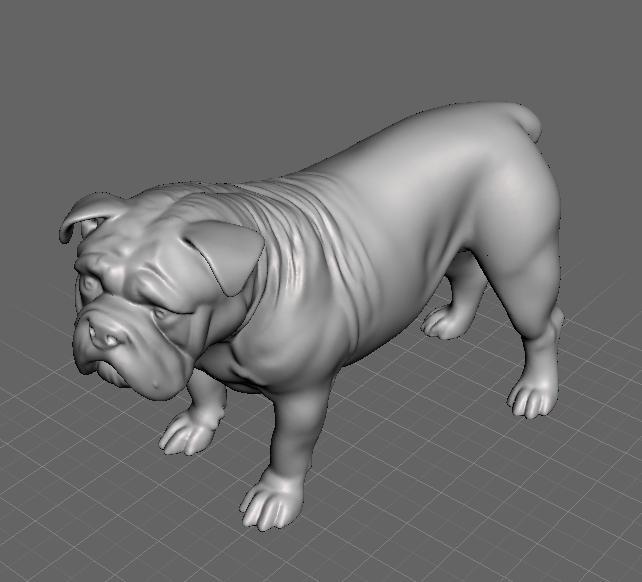 Bulldog