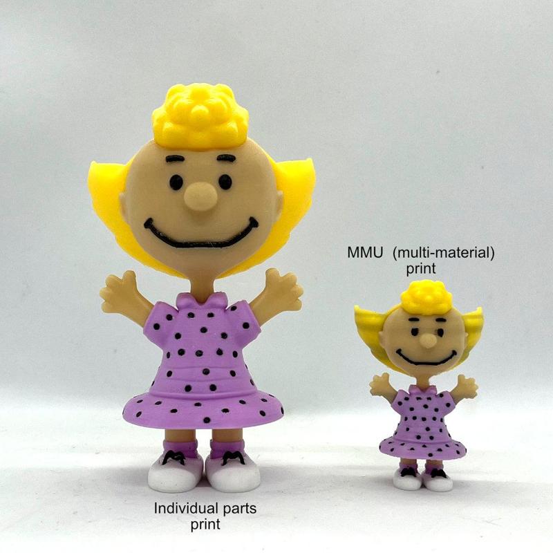 Sally Brown - MMU