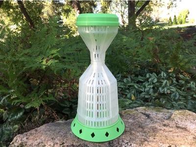 Bug Zoo Jar