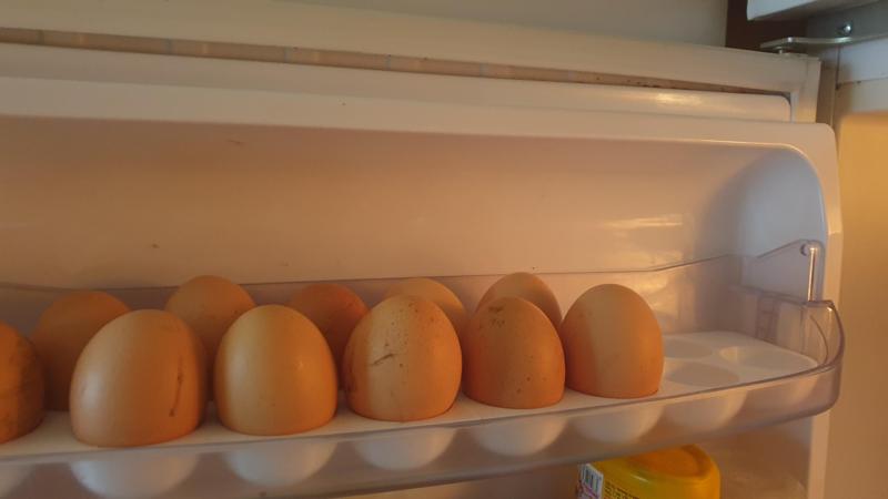 Zásobník vajec, Egg Dispenser