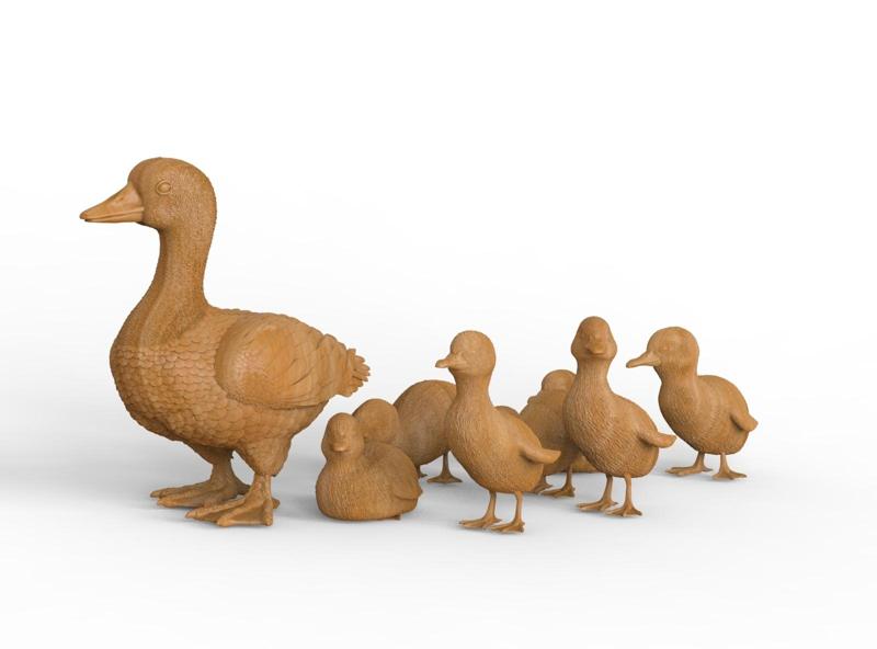 duckling duck