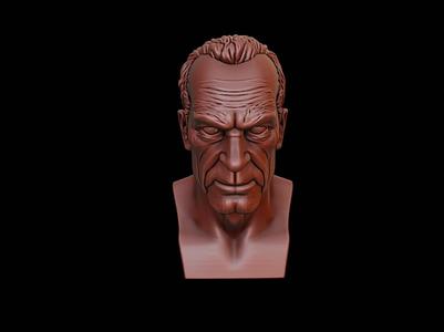 Two-Face Bust