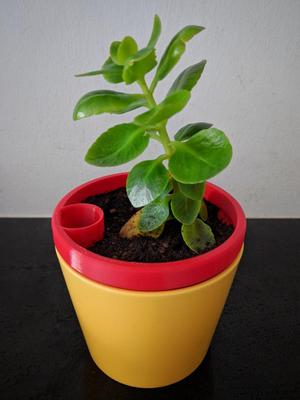 Flowerpot / Planter