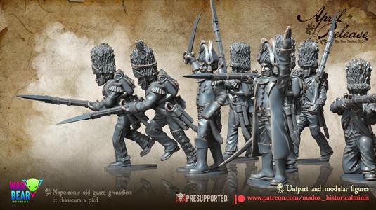 Napoleonic  1812/13 French Old Guard