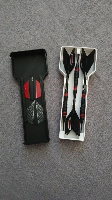 Darts case