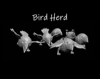 Birds to be herded