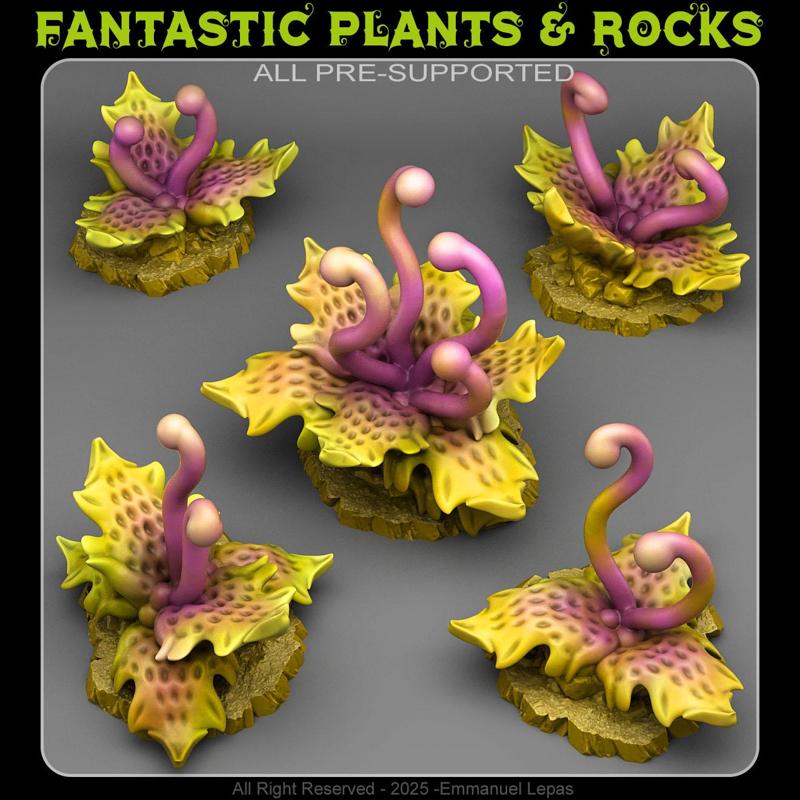 CARNIVOROUS TENTACLE PLANTS