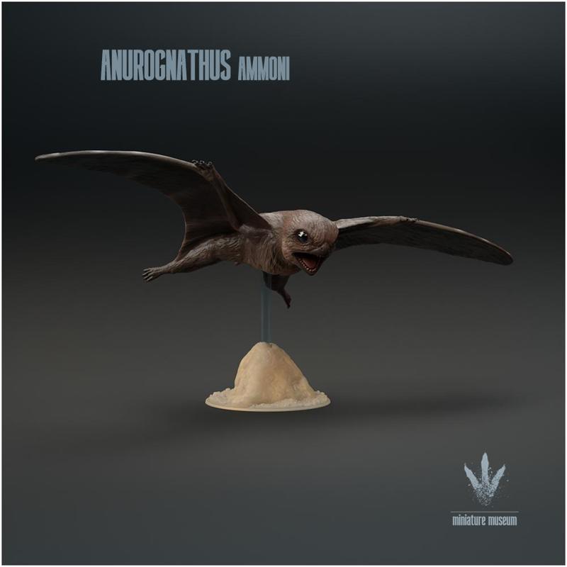 Anurognathus ammoni : The Frog-Jaw