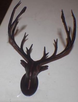 Deer Trophy Head