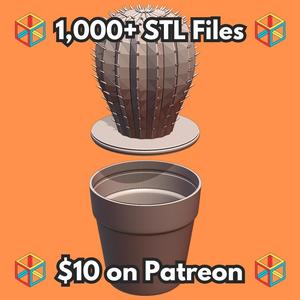 Cute Cactus Plant in Flower Pot Container with Secret Compartment MineeForm FDM 3D Print STL File