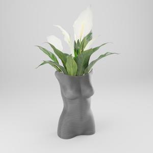 Body Vase