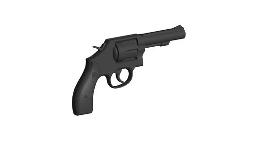 Smith Wesson Model 10