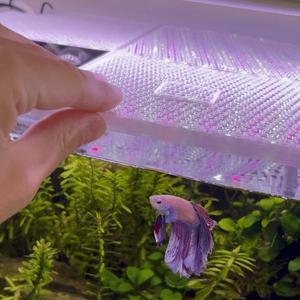 Aquarium Water Tank Cover 40x25