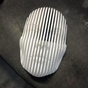 Faces in Fusion