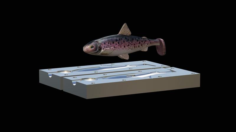 bait fish rainbow trout 13cm hoof model / form for predator fishing