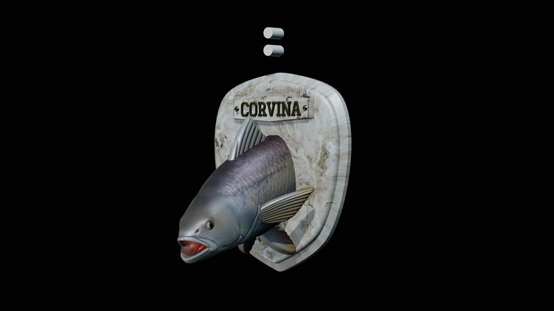 fish head trophy corvina / cilus gilberti open mouth statue detailed texture for 3d printing