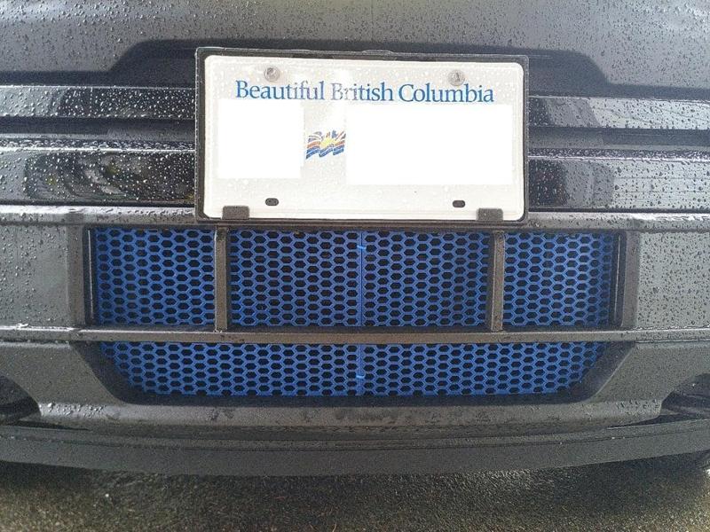 2025 Ford F150 Lightning Radiator Grill