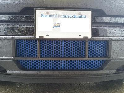 2025 Ford F150 Lightning Radiator Grill