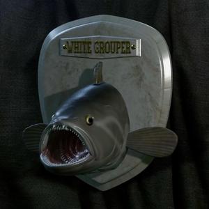 fish head trophy white grouper / Epinephelus aeneus open mouth statue detailed texture for 3d printing