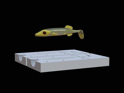 2x AM bait pike fish 12cm / 16cm hoof form for predator fishing