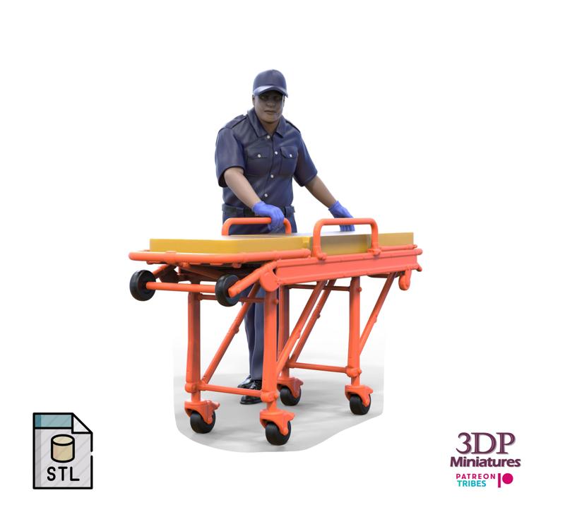 N3 paramedic emergency service