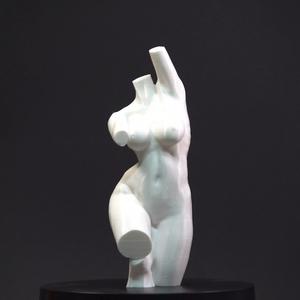 Torso