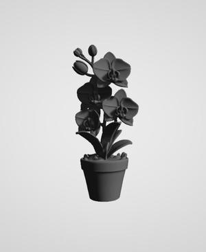 orchid decoration