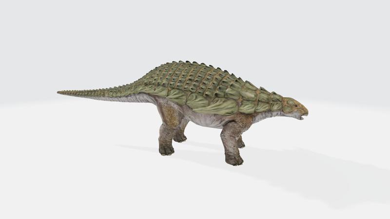 Nodosaurus