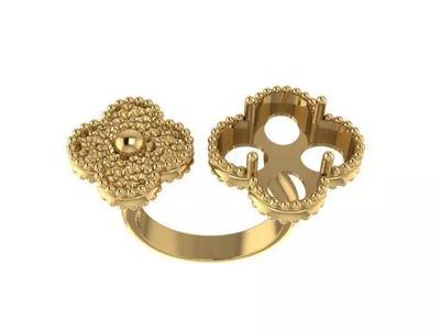 Ring Fashion