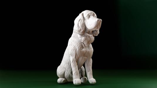 English Springer Spaniel