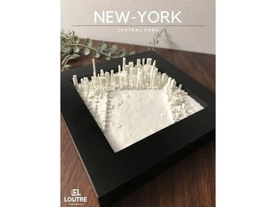 New-York / Central Park 3D City
