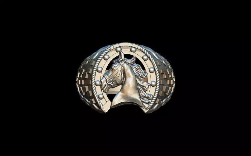 Horse ring