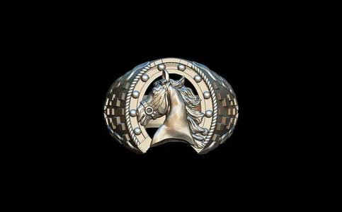 Horse ring