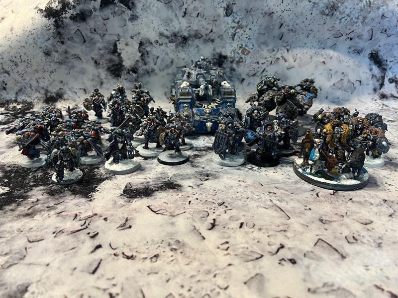 Star Viking Wolfpack Set