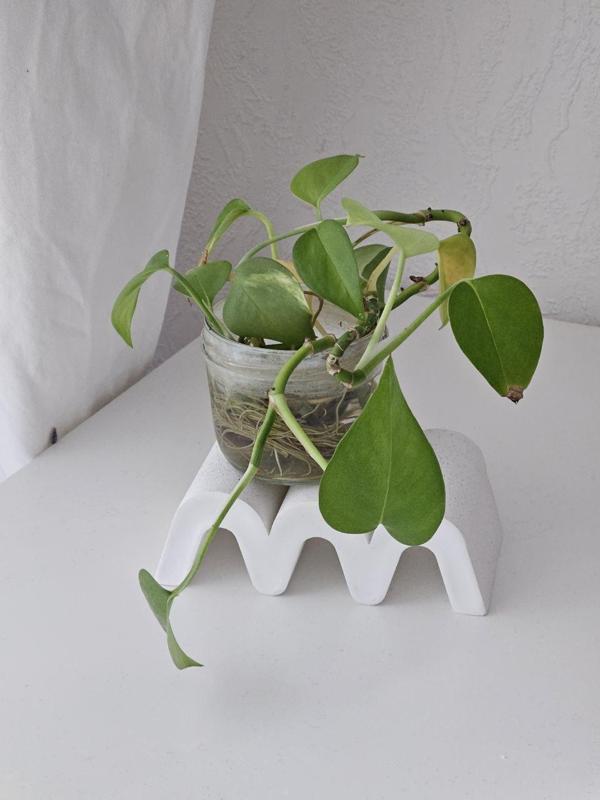 Curvy Casting Mold [Large]