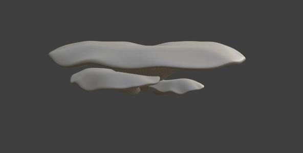 Mushroom Climbing Ledge