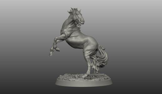 HORSE POSE 18