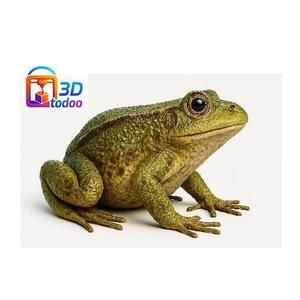 swamp frog , swamp frog