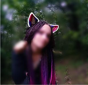 Ears on top