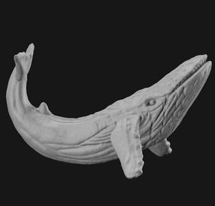 Realistic Whale - Realistic Whale