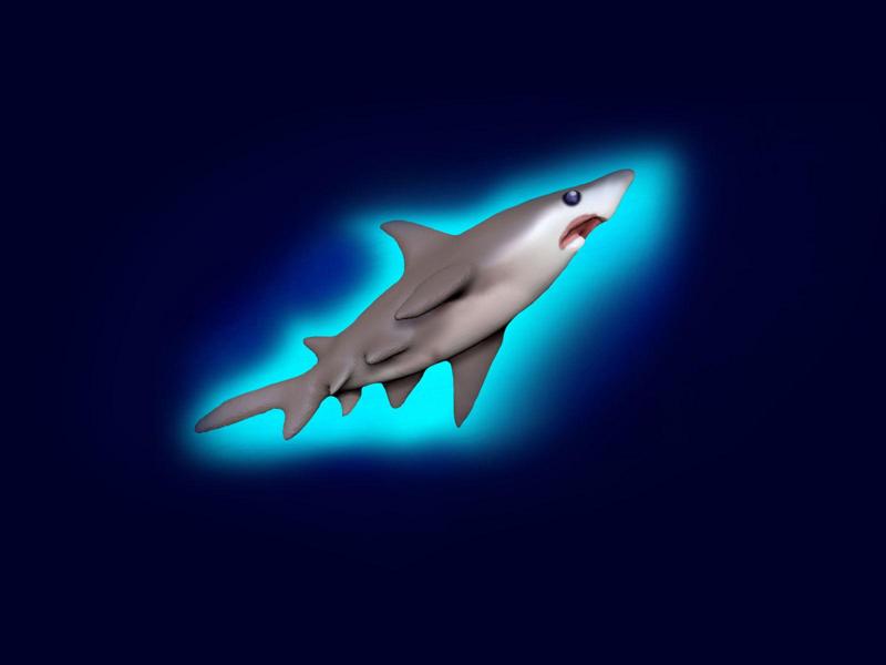 Hungry SHARK