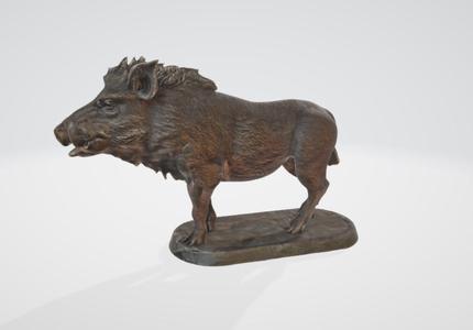 Wild boar