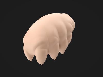 Tardigrade