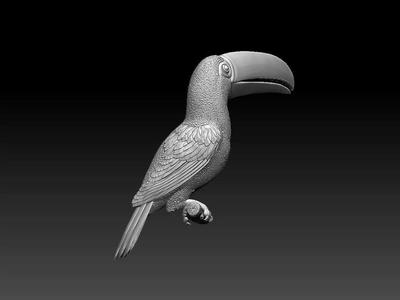 tucan toucan