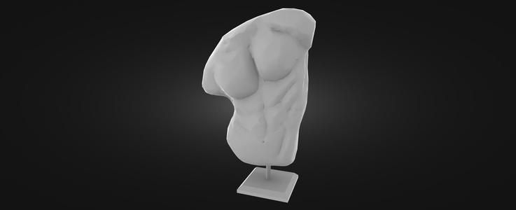 Male torso