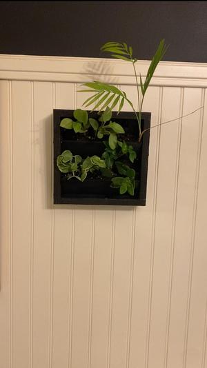 Plant Wall