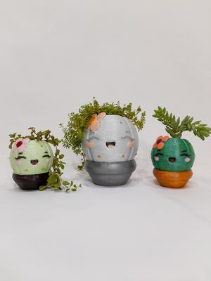 HAPPY CACTUS POT
