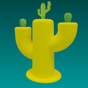 Cactus pot
