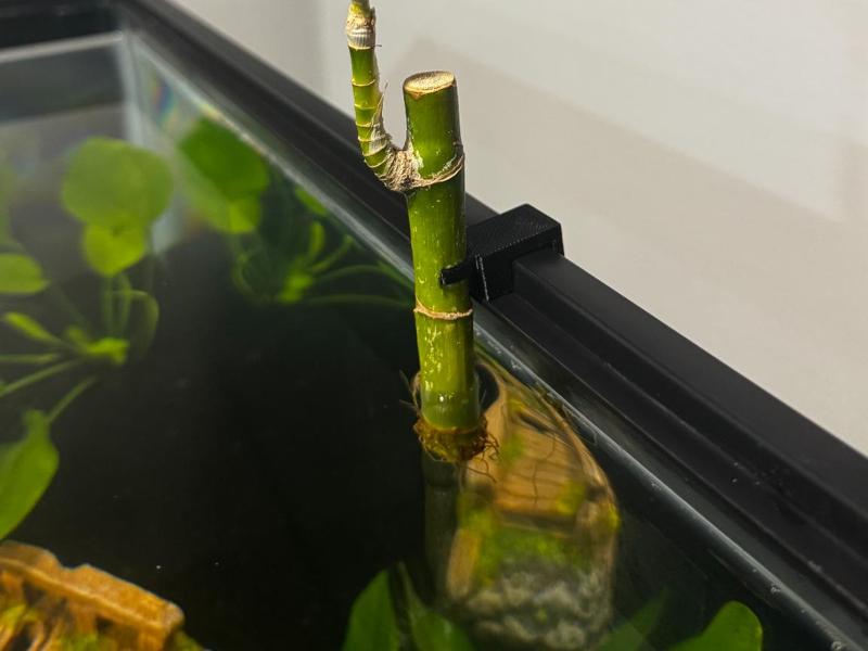 Aquarium Lucky Bamboo Holder for Aqueon Fish Tanks