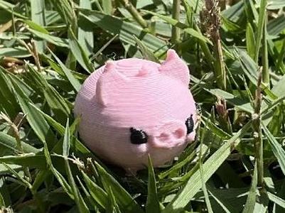 Cute Little Piggy